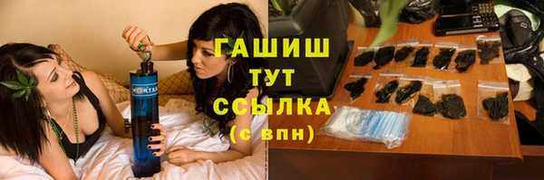шишки Алзамай