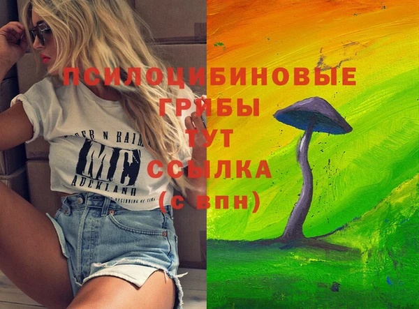 молекула духа Алексин