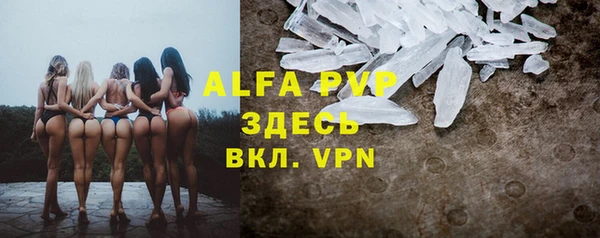 шишки Алзамай