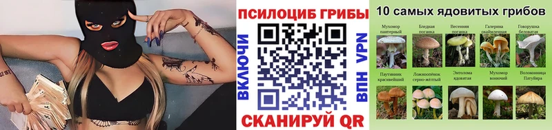 как найти закладки  Боготол  Галлюциногенные грибы мицелий 